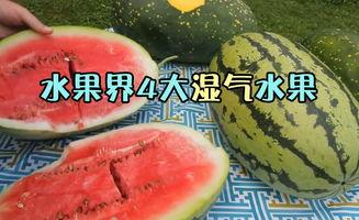 吃瓜会湿气重,湿气重？揭秘夏日消暑与养生之道