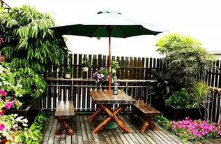 体院栅栏吃瓜,揭秘校园里的趣味瞬间