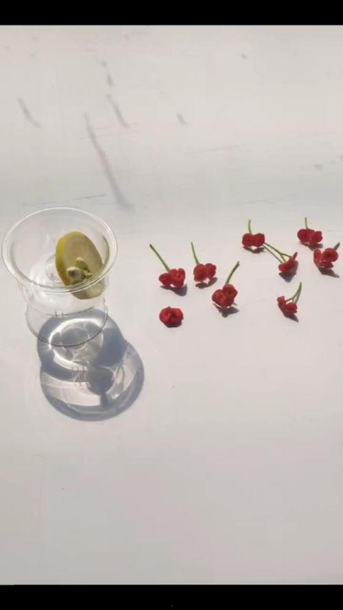 挖着吃的网纹瓜,挖着吃的天然美味，探寻大自然的馈赠