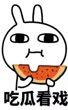 和善吃瓜,品味生活百态