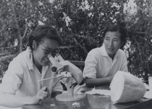 吃瓜女王书名,揭秘娱乐圈背后的秘密与真相