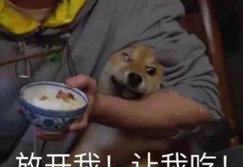 关注带你吃瓜呀