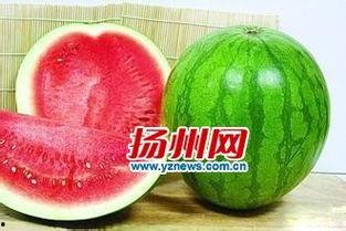 吃瓜把瓜吃到没红瓤