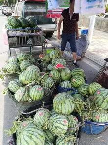 菏泽理性吃瓜事件,网络舆论的冷静反思与启示