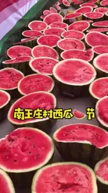 保定市吃瓜,瓜果飘香，品味生活