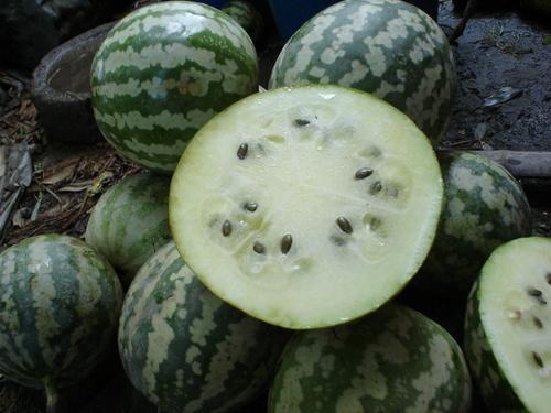 绿宝瓜可以炒着吃吗,炒菜佳品，美味可口